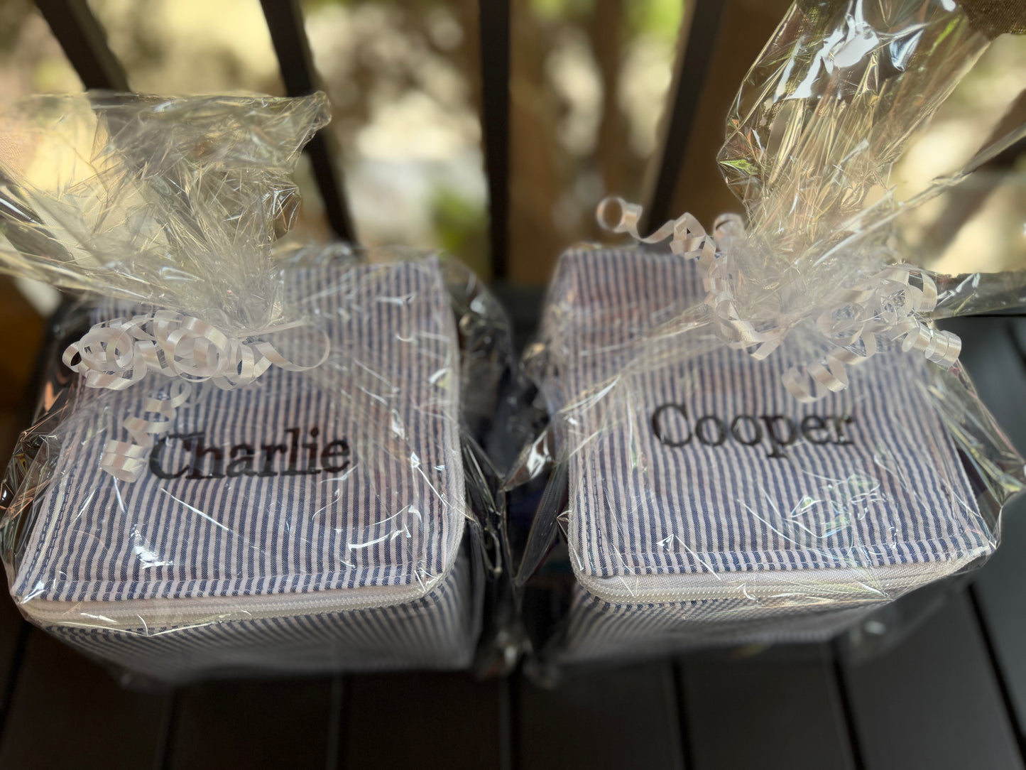 Insulated snack squares